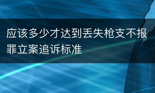 应该多少才达到丢失枪支不报罪立案追诉标准