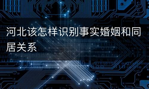 河北该怎样识别事实婚姻和同居关系