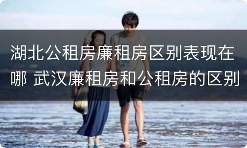 湖北公租房廉租房区别表现在哪 武汉廉租房和公租房的区别