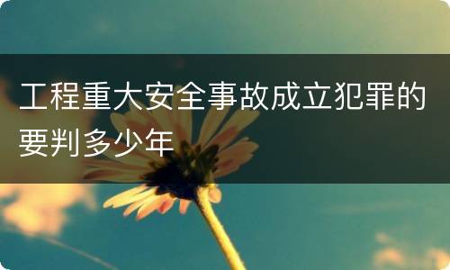 工程重大安全事故成立犯罪的要判多少年