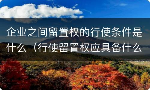 企业之间留置权的行使条件是什么（行使留置权应具备什么条件）