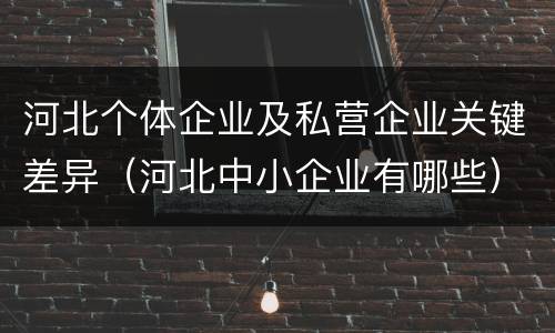 河北个体企业及私营企业关键差异（河北中小企业有哪些）