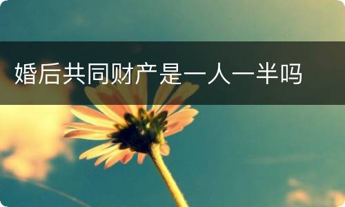 婚后共同财产是一人一半吗