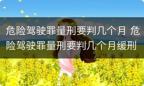 危险驾驶罪量刑要判几个月 危险驾驶罪量刑要判几个月缓刑