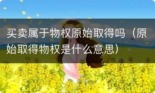 买卖属于物权原始取得吗（原始取得物权是什么意思）
