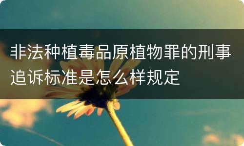 非法种植毒品原植物罪的刑事追诉标准是怎么样规定