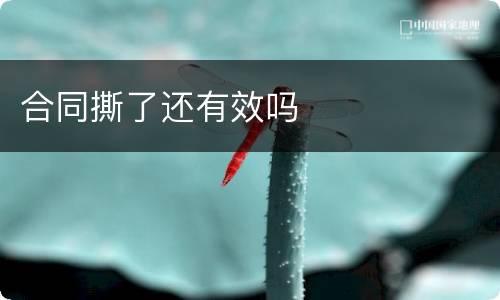 合同撕了还有效吗