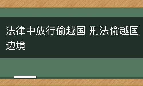 法律中放行偷越国 刑法偷越国边境