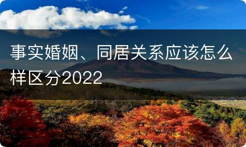 事实婚姻、同居关系应该怎么样区分2022