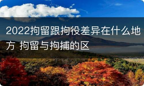 2022拘留跟拘役差异在什么地方 拘留与拘捕的区