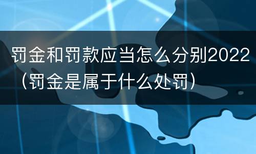 罚金和罚款应当怎么分别2022（罚金是属于什么处罚）