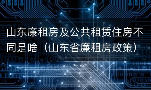 山东廉租房及公共租赁住房不同是啥（山东省廉租房政策）