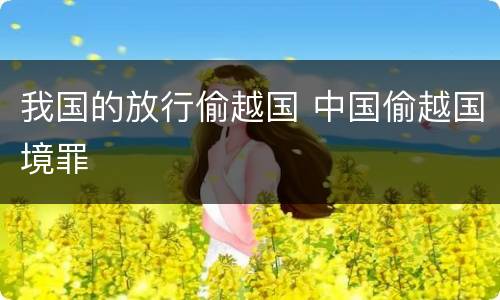 我国的放行偷越国 中国偷越国境罪