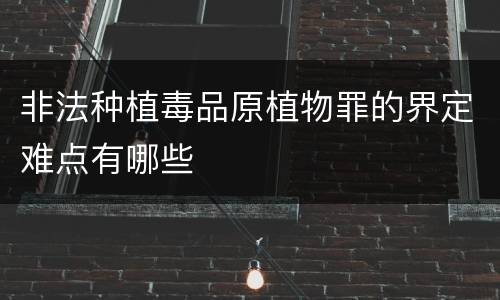 非法种植毒品原植物罪的界定难点有哪些