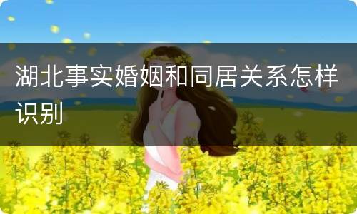 湖北事实婚姻和同居关系怎样识别