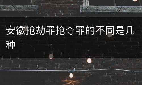 安徽抢劫罪抢夺罪的不同是几种
