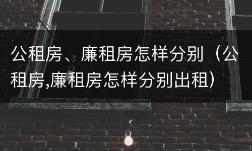 公租房、廉租房怎样分别（公租房,廉租房怎样分别出租）