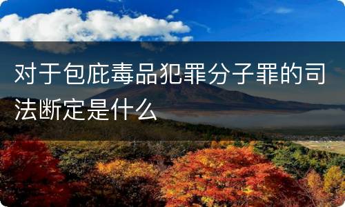 对于包庇毒品犯罪分子罪的司法断定是什么