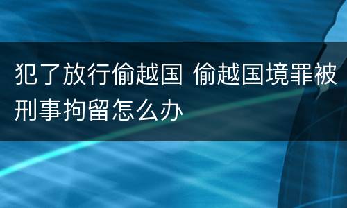 犯了放行偷越国 偷越国境罪被刑事拘留怎么办