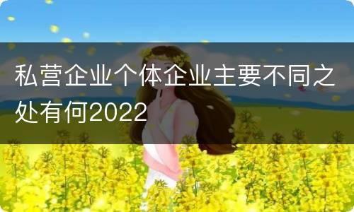 私营企业个体企业主要不同之处有何2022