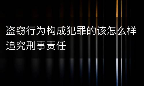 盗窃行为构成犯罪的该怎么样追究刑事责任