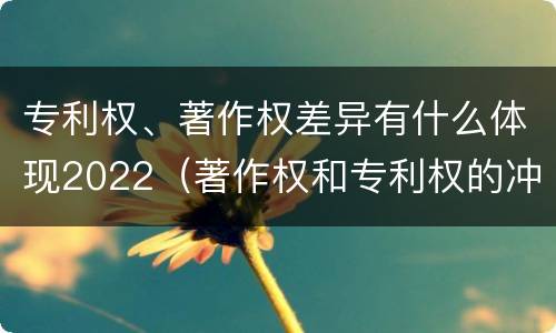 专利权、著作权差异有什么体现2022（著作权和专利权的冲突）
