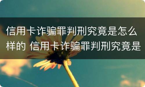 信用卡诈骗罪判刑究竟是怎么样的 信用卡诈骗罪判刑究竟是怎么样的结果