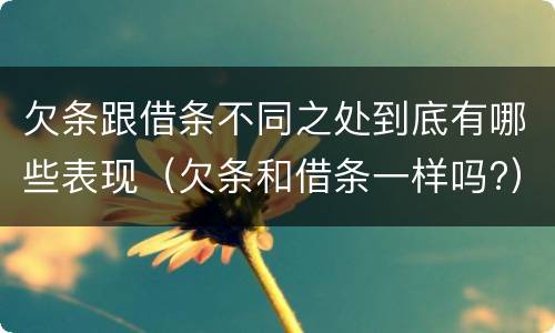 欠条跟借条不同之处到底有哪些表现（欠条和借条一样吗?）