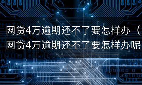 网贷4万逾期还不了要怎样办（网贷4万逾期还不了要怎样办呢）