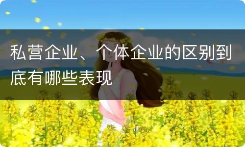 私营企业、个体企业的区别到底有哪些表现