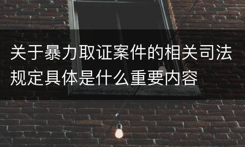 关于暴力取证案件的相关司法规定具体是什么重要内容