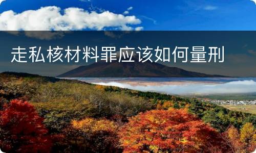 走私核材料罪应该如何量刑
