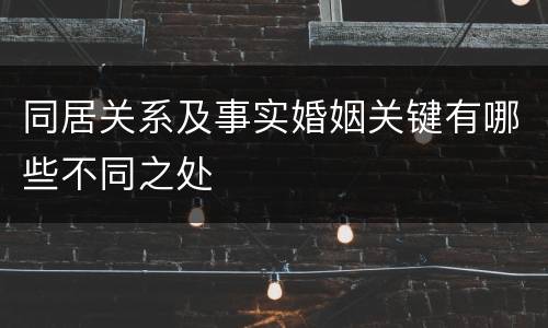 同居关系及事实婚姻关键有哪些不同之处