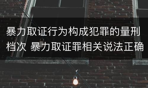 暴力取证行为构成犯罪的量刑档次 暴力取证罪相关说法正确的是