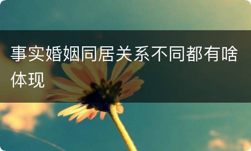 事实婚姻同居关系不同都有啥体现