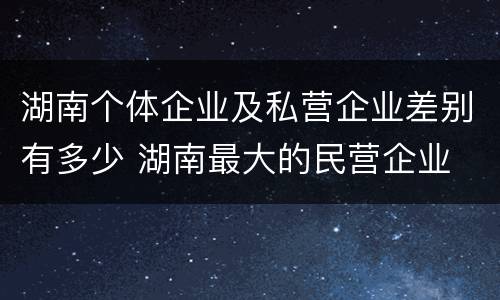 湖南个体企业及私营企业差别有多少 湖南最大的民营企业
