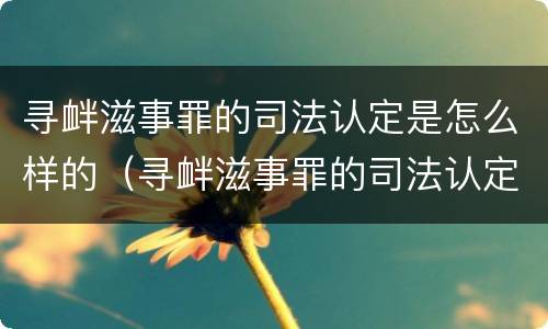 寻衅滋事罪的司法认定是怎么样的（寻衅滋事罪的司法认定是怎么样的标准）