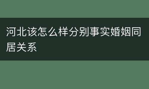 河北该怎么样分别事实婚姻同居关系