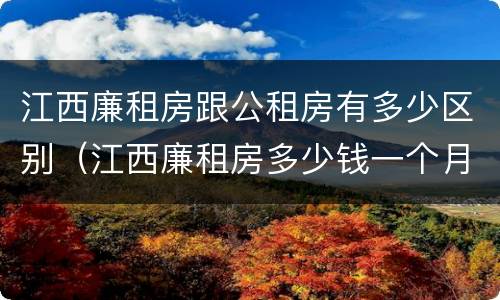 江西廉租房跟公租房有多少区别（江西廉租房多少钱一个月）
