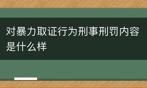 对暴力取证行为刑事刑罚内容是什么样