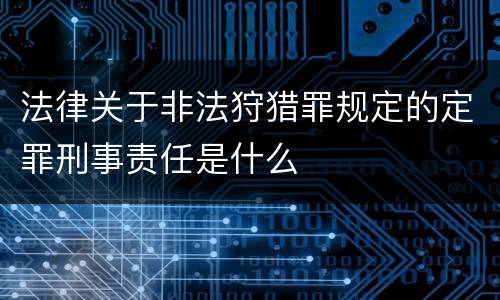 法律关于非法狩猎罪规定的定罪刑事责任是什么