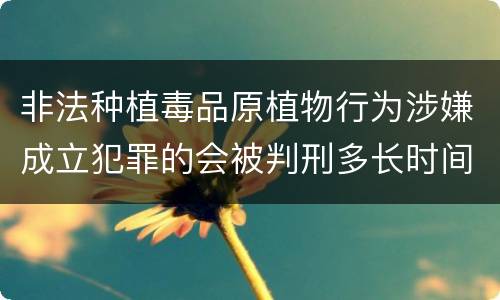 非法种植毒品原植物行为涉嫌成立犯罪的会被判刑多长时间
