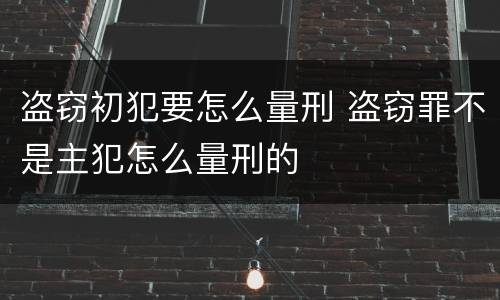 盗窃初犯要怎么量刑 盗窃罪不是主犯怎么量刑的