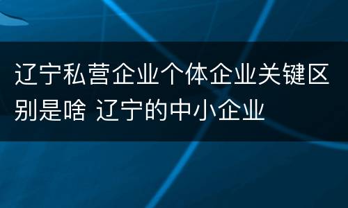 辽宁私营企业个体企业关键区别是啥 辽宁的中小企业