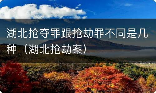 湖北抢夺罪跟抢劫罪不同是几种（湖北抢劫案）