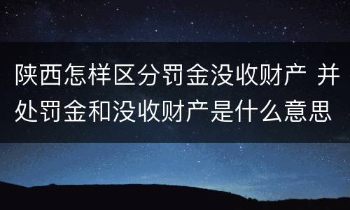陕西怎样区分罚金没收财产 并处罚金和没收财产是什么意思
