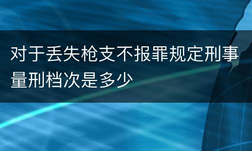 对于丢失枪支不报罪规定刑事量刑档次是多少