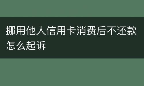 挪用他人信用卡消费后不还款怎么起诉
