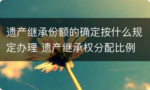 遗产继承份额的确定按什么规定办理 遗产继承权分配比例