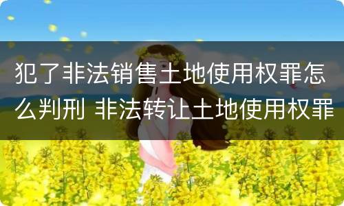 犯了非法销售土地使用权罪怎么判刑 非法转让土地使用权罪情节严重
